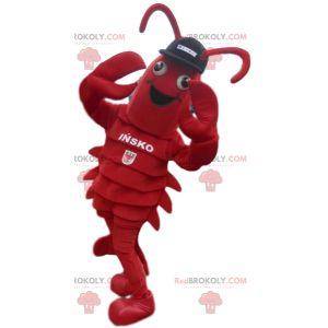 Lobster mascot with black cap