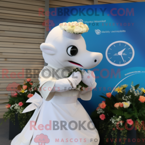 Cream Dolphin mascot...