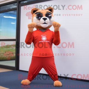 Red Mountain Lion mascot...