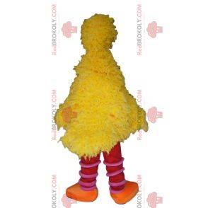 Mascote gigante do pato amarelo. Fantasia de pato