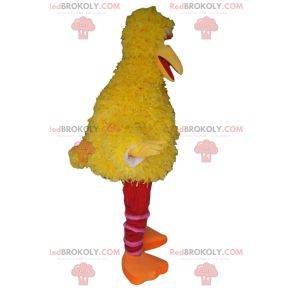 Giant yellow duck mascot. Duck costume