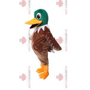 Mascotte de canard vert et marron très heureux. Costume de canard