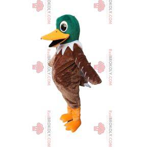 Mascotte de canard vert et marron très heureux. Costume de canard