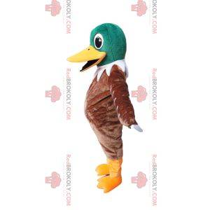 Mascotte de canard vert et marron très heureux. Costume de canard