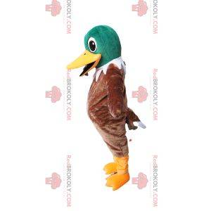 Mascotte dell'anatra verde e marrone molto felice. Costume da anatra