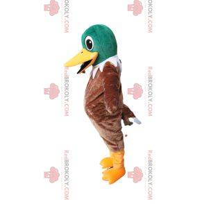 Mascotte de canard vert et marron très heureux. Costume de canard