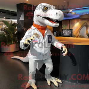 Costume mascotte d...