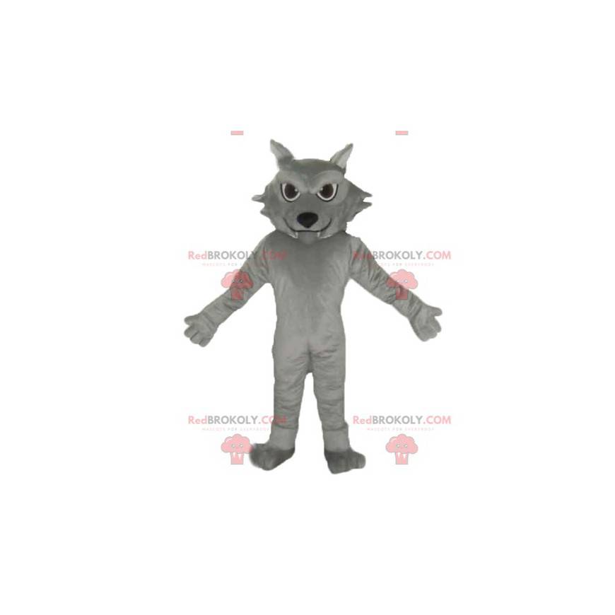 Obří a roztomilý maskot šedá kočka - Redbrokoly.com Obří a roztomilý maskot šedá kočka - Redbrokoly.com