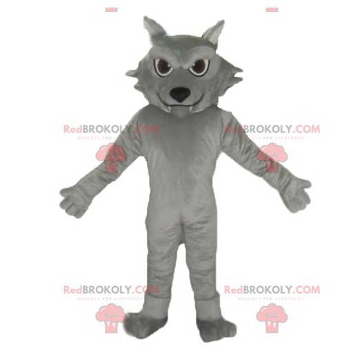 Riesiges und niedliches graues Katzenmaskottchen -