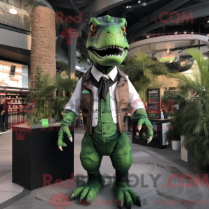 Costume mascotte d...