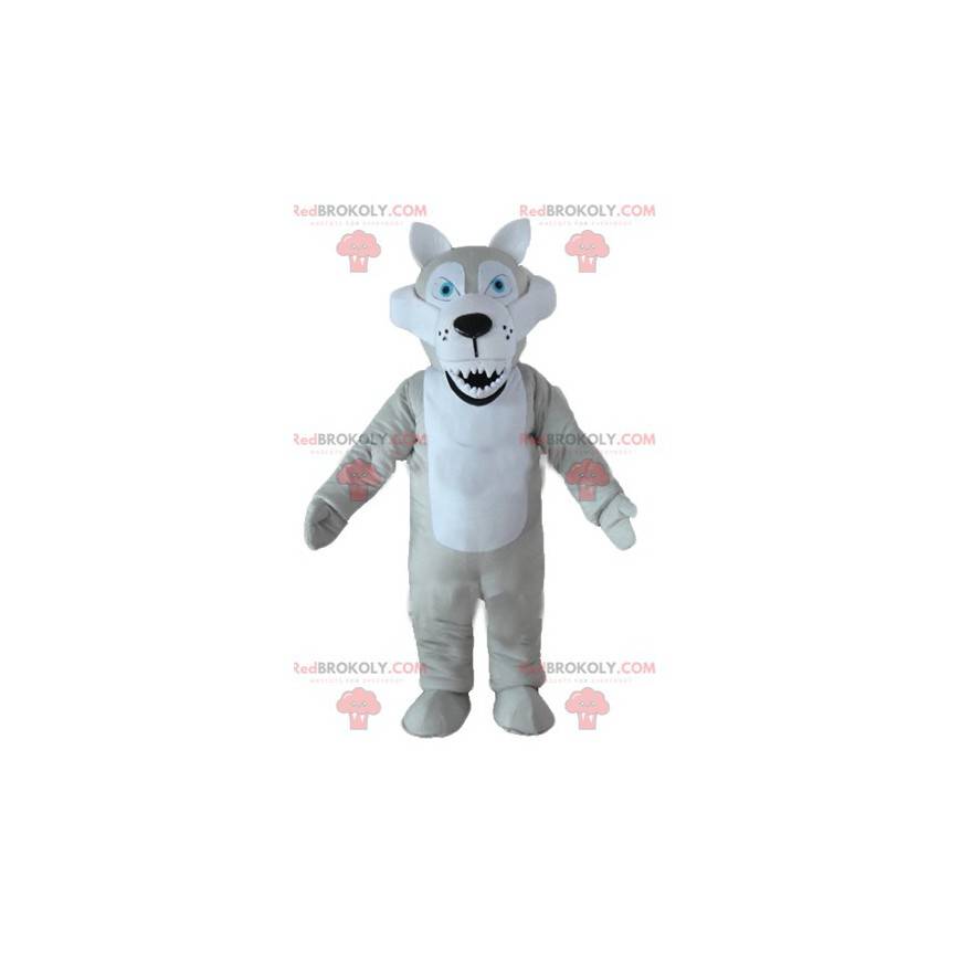 Gray and white wolf mascot with blue eyes and nasty looks -