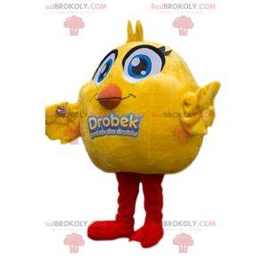 Mascot adorable pollito con ojos grandes