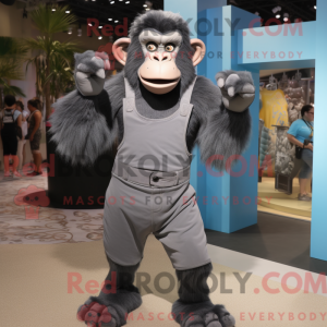 Grå chimpanse maskot...