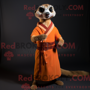 Disfraz de mascota suricata...