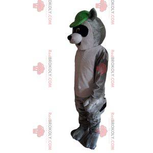 Raccoon mascot, with a green cap