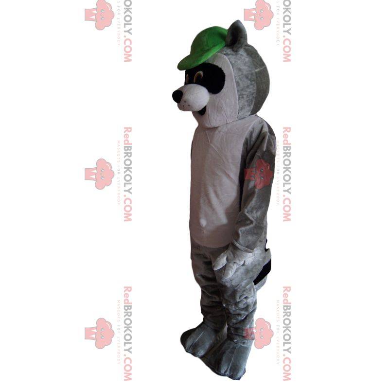 Mascota mapache, con gorra verde