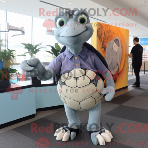Grå skildpadde maskot...
