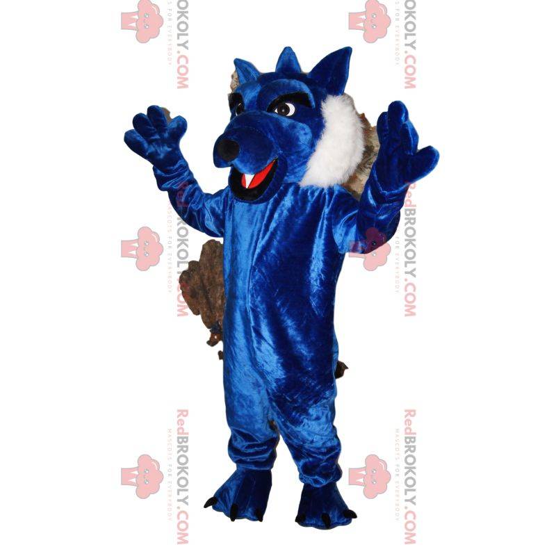 Mascotte de loup bleu avec une belle fourrure. Costume de loup