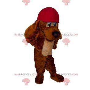 Long-eared dog mascot with cap