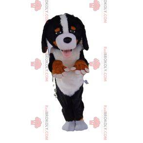 Mascotte de Saint Bernard très sympathique