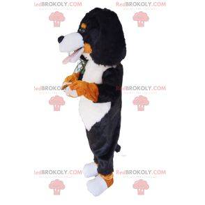 Mascotte de Saint Bernard très sympathique