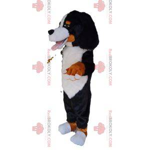 Very friendly Saint Bernard mascot