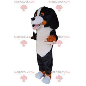 Bardzo przyjazna maskotka Saint Bernard