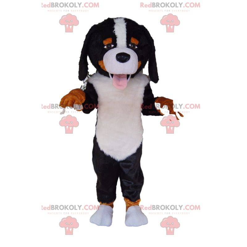 Mascote São Bernardo muito amigável Mascote São Bernardo muito amigável
