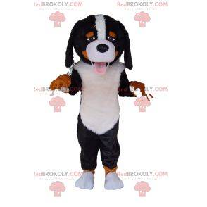 Very friendly Saint Bernard mascot