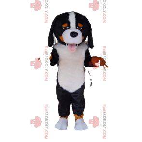 Mascotte di San Bernardo molto amichevole
