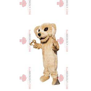 Beige dog mascot with a beautiful face