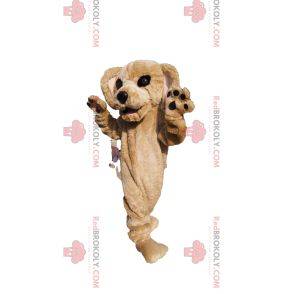 Beiges Hundemaskottchen mit einem schönen Gesicht