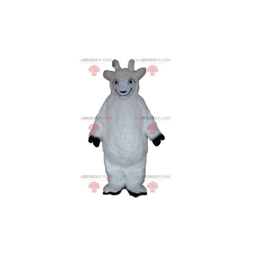 Toda la mascota de la cabra blanca peluda - Redbrokoly.com Toda la mascota de la cabra blanca peluda - Redbrokoly.com