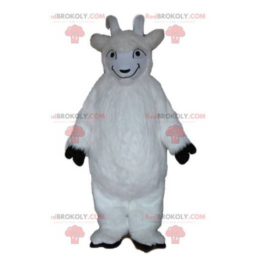 All hairy white goat mascot - Redbrokoly.com