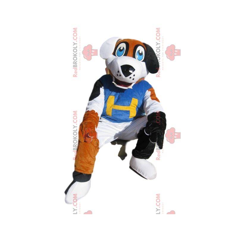 Tricolor dog mascot with a blue supporter jersey