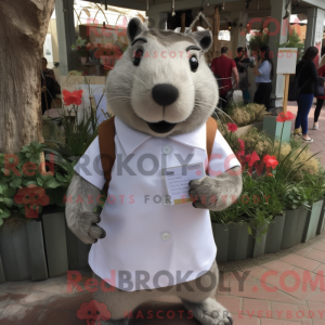 Silver Capybara mascot...