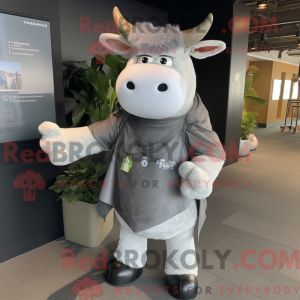 Grijze Hereford koe...