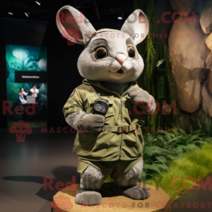 Olive Chinchilla...