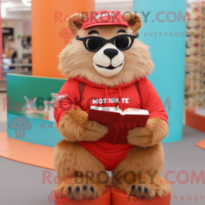 Rød murmeldyr maskot...