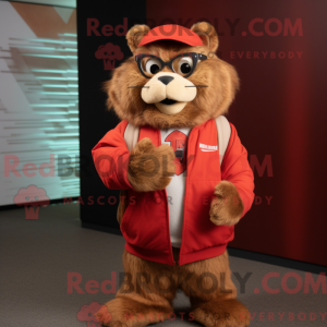 Rød murmeldyr maskot...