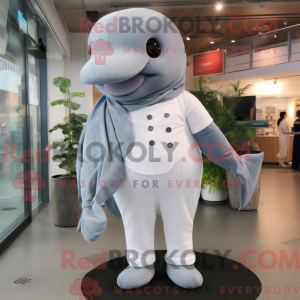 Grå Beluga Whale Maskot...