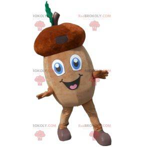 Acorn mascot with its small leaf