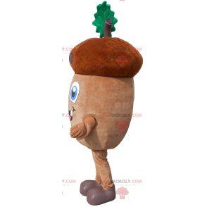 Acorn mascot with its small leaf