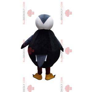 Majestic puffin mascot. Puffin costume