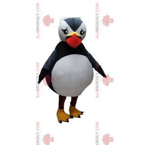 Majestic puffin mascot. Puffin costume