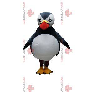 Majestic puffin mascot. Puffin costume