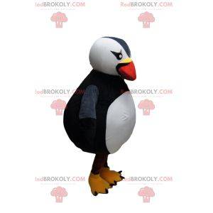Mascote majestoso do papagaio-do-mar. Fantasia de puffin