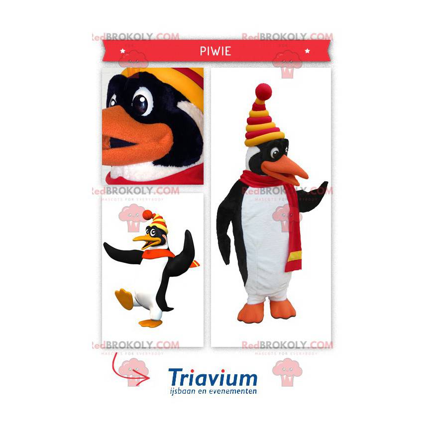 Mascote bonito pinguim branco e preto vestido com roupas de