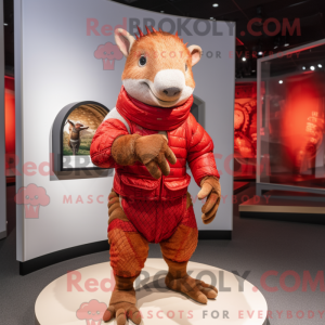 Red Armadillo...