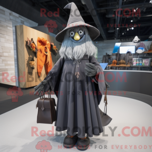Gray Witch S Hat...